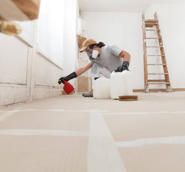 Best Dehumidification Services  in Southport, NC